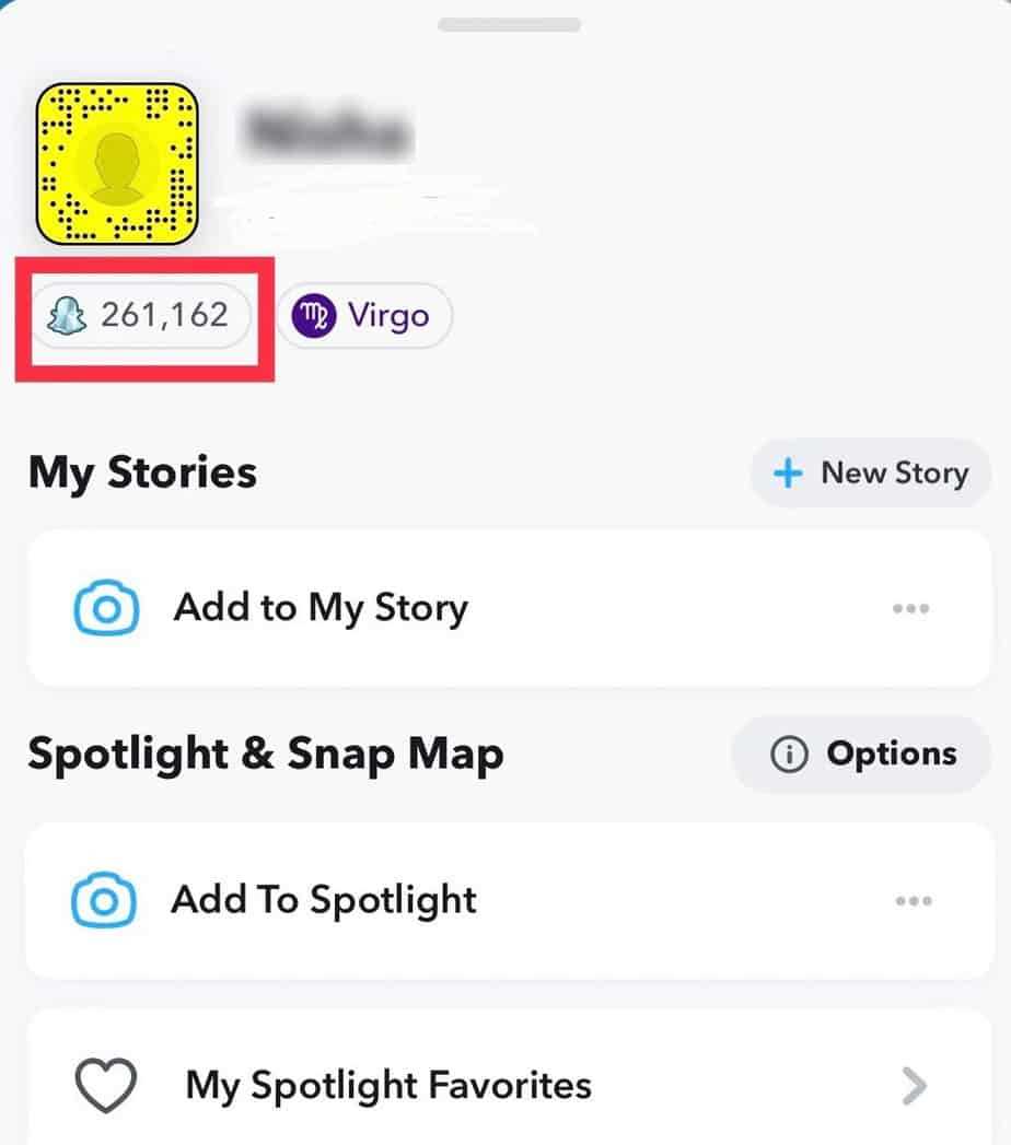 What is Snap Score?