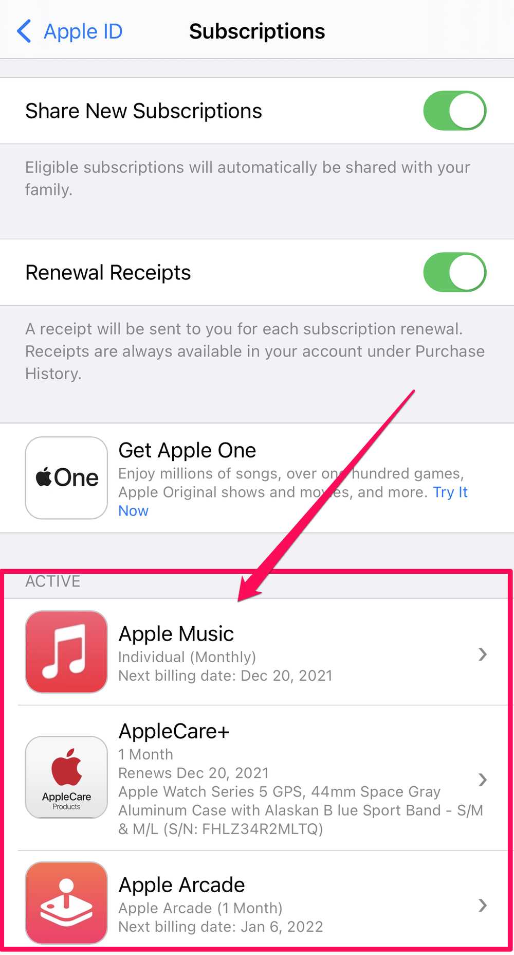 Cancelling Subscriptions on iPhone or iPad