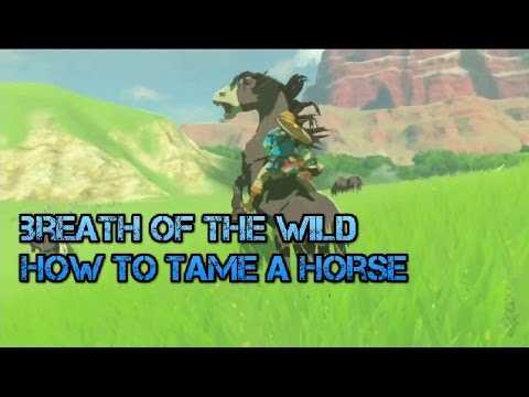 Best Zelda Horse Names Choose the Perfect Name for Your Noble Steed