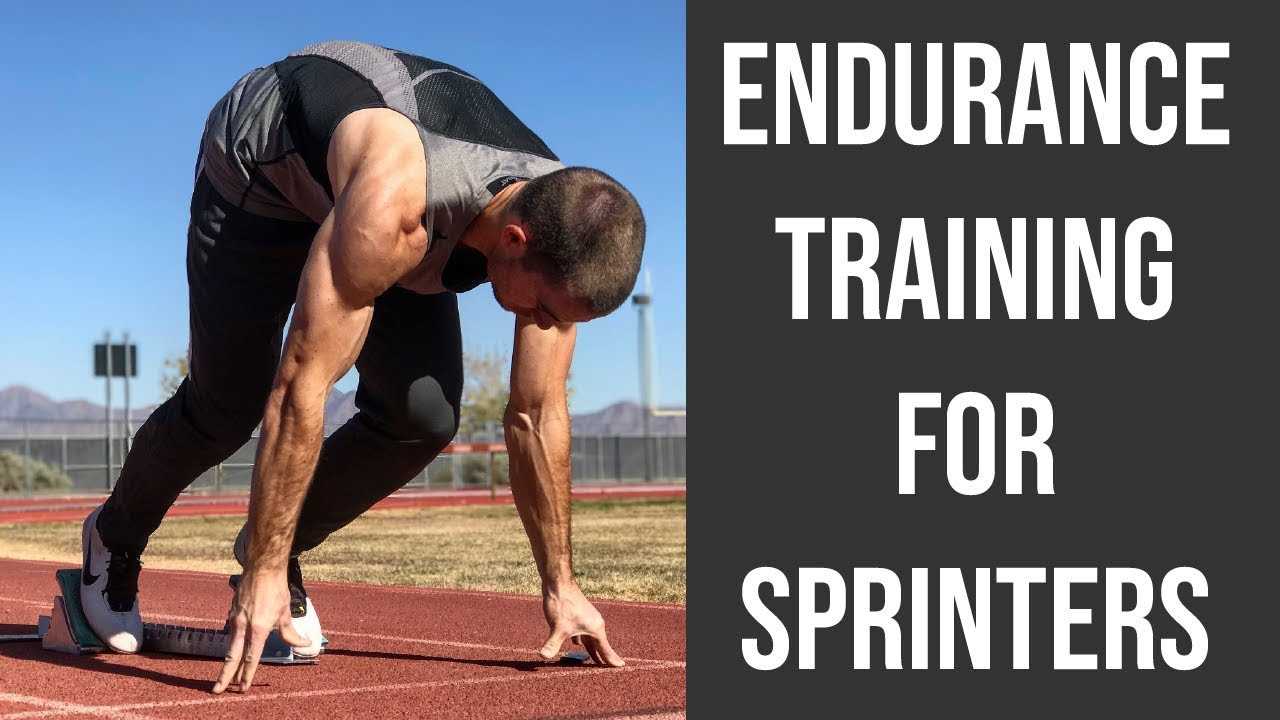 Section 2: Endurance Training