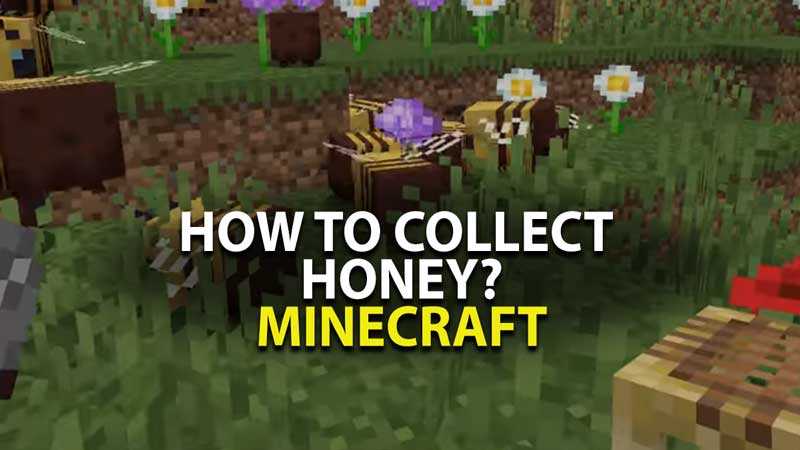 How to Get Honey in Minecraft A Complete Guide