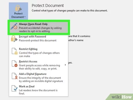 Finding the Protect Document Option
