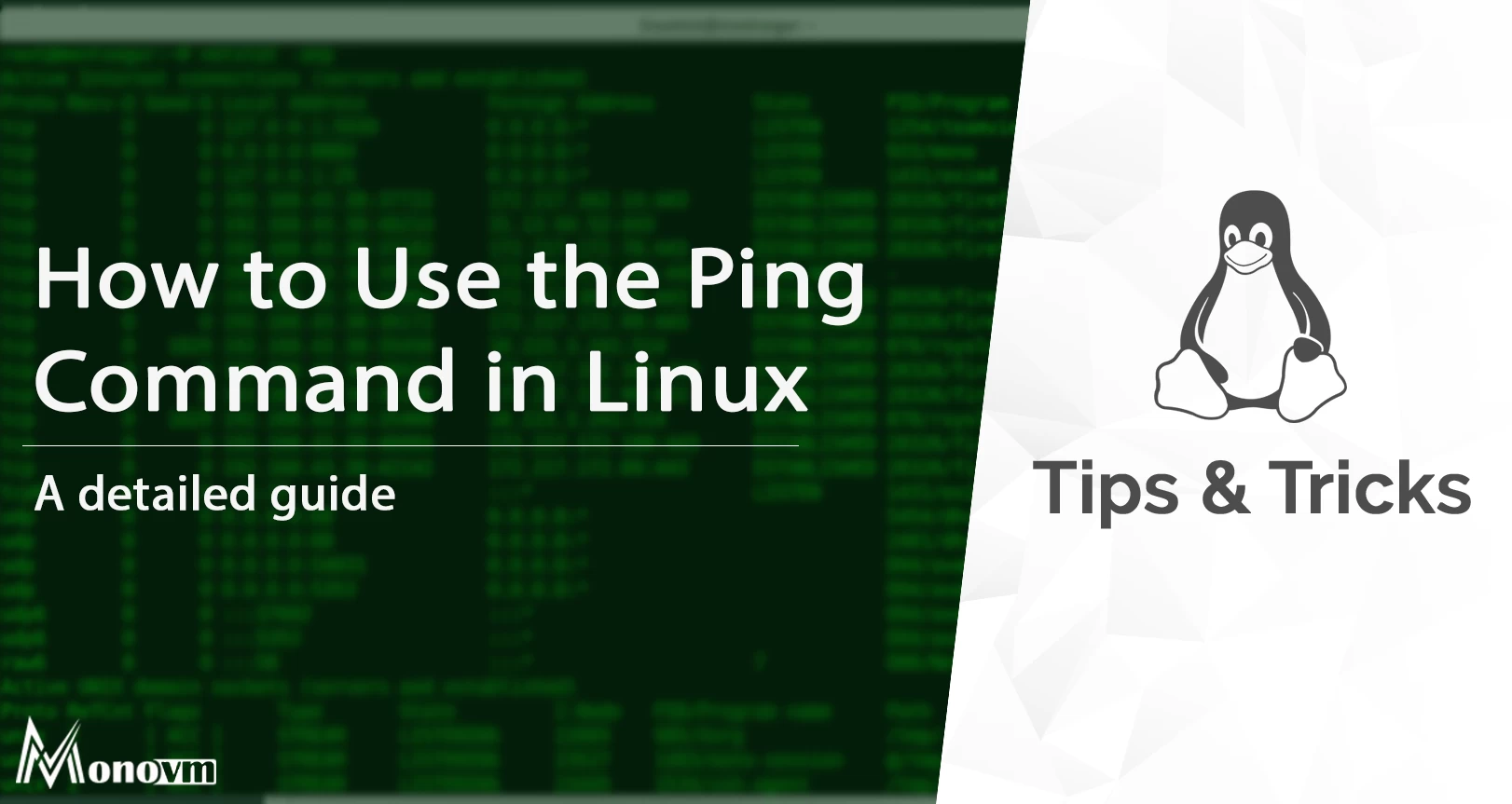 Why is the Ping Command Important?