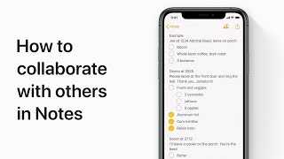 Best Shared Notes iPhone Apps for Team Collaboration