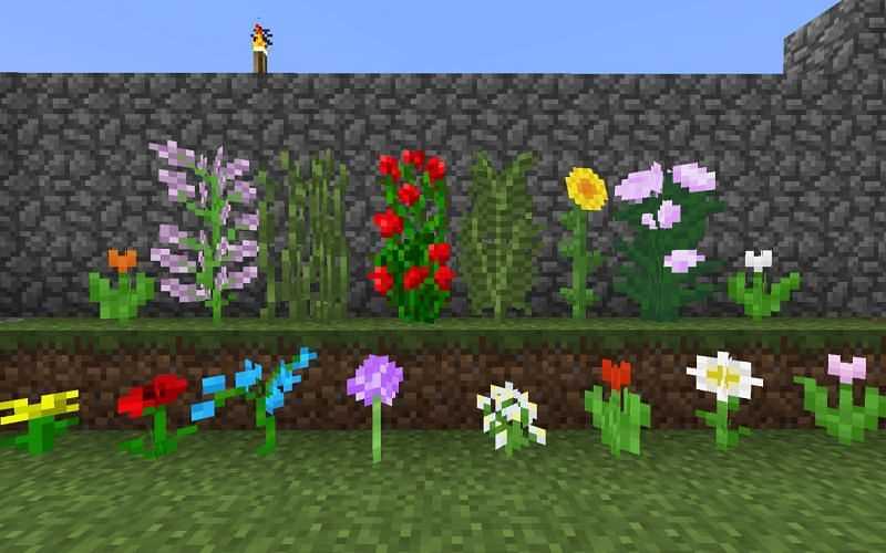 Minecraft Flowers A Guide to Finding and Using Flowers in Minecraft
