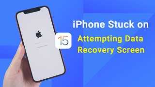 Essential Steps for Attempting Data Recovery on iPhone |