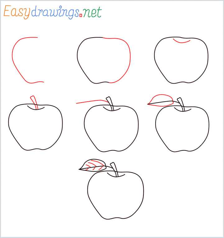 Learn how to draw an apple step by step - Easy apple drawing tutorial