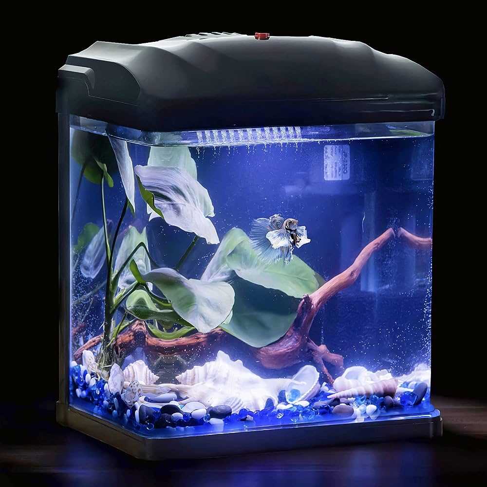 Fish Tank PC The Ultimate Guide to Building a Stunning Aquarium Computer