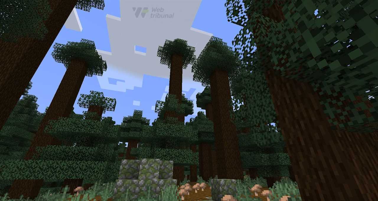 Navigating the Minecraft World in Search of the Rarest Biome